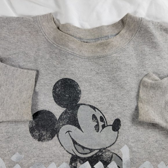 Disney X Hanes Adults Medium Gray Pullover Sweater Long Sleeve Winter Warm - Picture 3 of 9